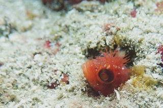 107634_0.jpg