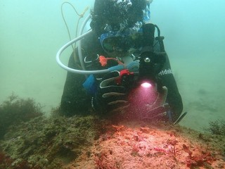 110526_0.jpg