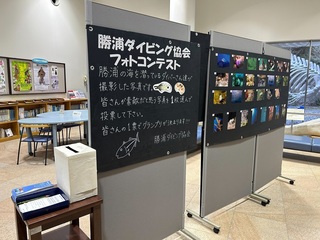 1677832301977.jpg