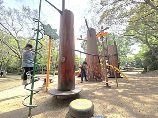 20250424_104342.jpg