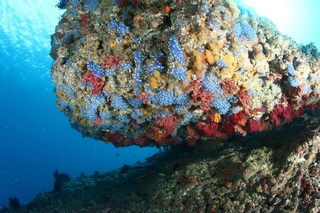 6L2A3335.JPG