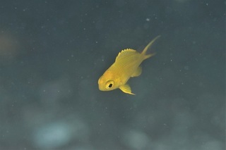 6L2A6795.JPG