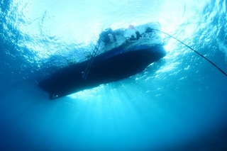 79006.jpg