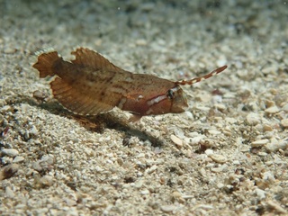 C220372.JPG