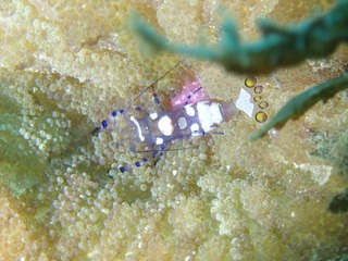 C220418.JPG