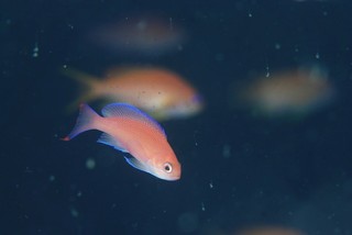 DSC_0022.JPG
