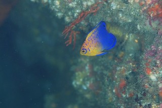 DSC_0032.JPG