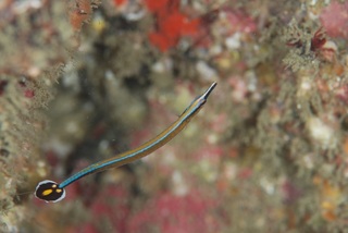 DSC_0034.JPG