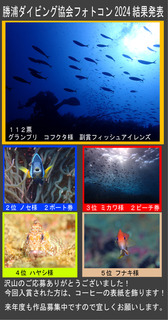 フォトコン結果2024.jpg
