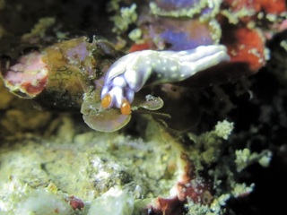 IMG_0030.JPG