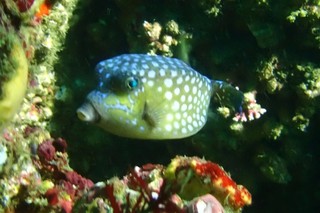 IMG_20241029_144604.jpg