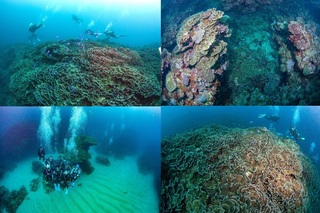 LINE_ALBUM_20250301-03 �v�ē��c�A�[_250305_53.jpg