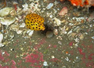 OI000113.JPG