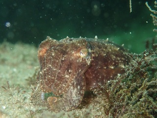 OI0075405.JPG