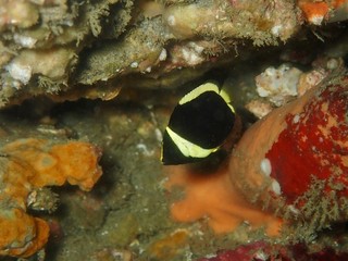 OI968020.JPG