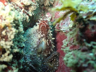 P1037242.JPG
