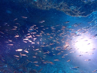 P1047256.JPG