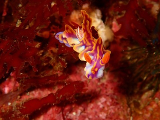 P1061875.JPG