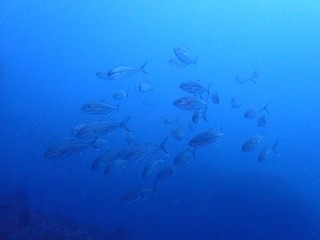 P1117332.JPG