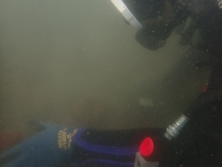 P1237437.JPG