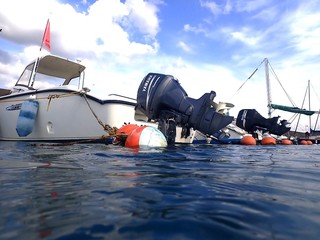 P1237447.JPG