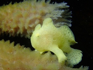 P1280049.JPG