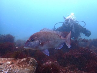 P2192285.JPG