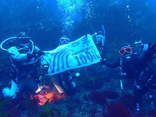 P2252303.JPG