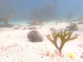 P3086642.JPG
