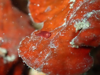 P3086665.JPG