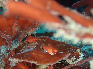 P3144447.JPG