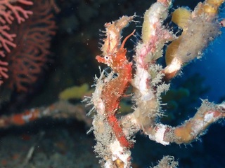 P3152447.JPG