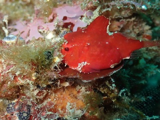 P3152450.JPG
