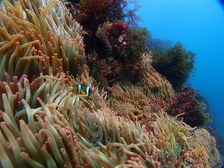 P4040070.JPG