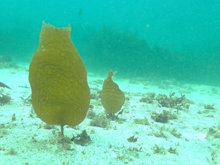 P4108814.JPG
