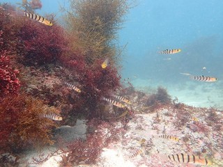 P4108820.JPG