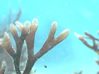 P4108828.JPG