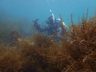 P4108830.JPG