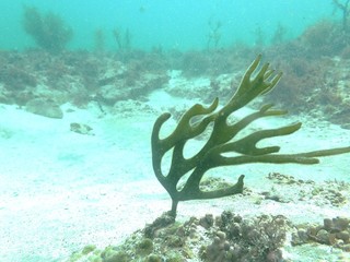 P4108841.JPG