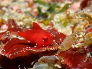 P4205780.JPG