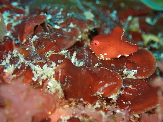 P4254690.JPG
