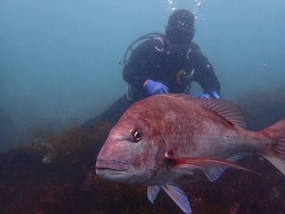 P4258963.JPG