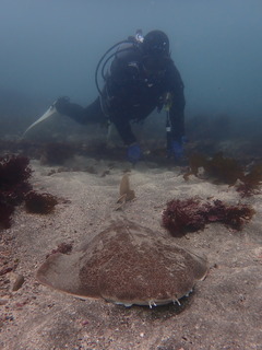 P4258970.JPG