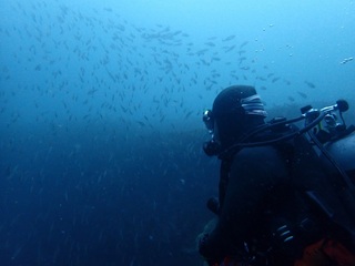 P4272688.JPG