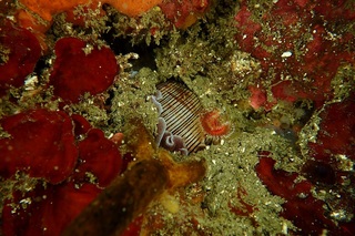 P4280554.JPG
