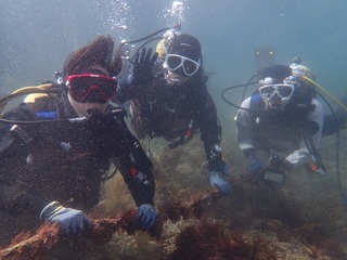 P4297367.JPG