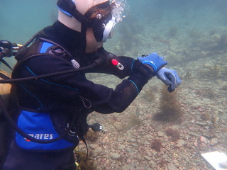 P5099138.JPG