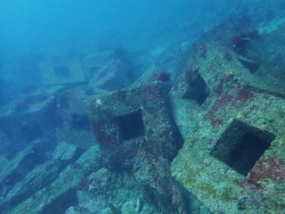 P5117505.JPG