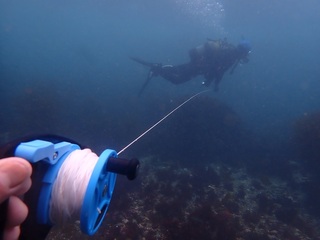 P5219220.JPG
