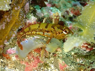P5220331.JPG